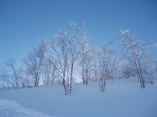 f:id:b-d-d:20130128003411j:image f:id:b-d-d:20130128003411j:image