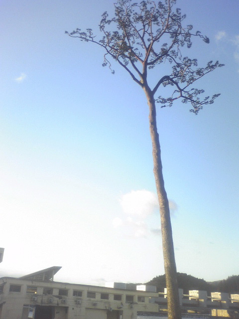 f:id:b-itoh1975:20200311144619j:plain