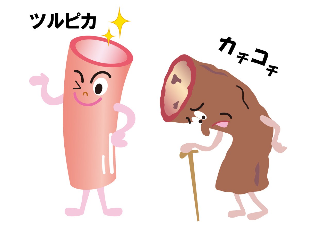 f:id:b-kong:20210222133052j:plain
