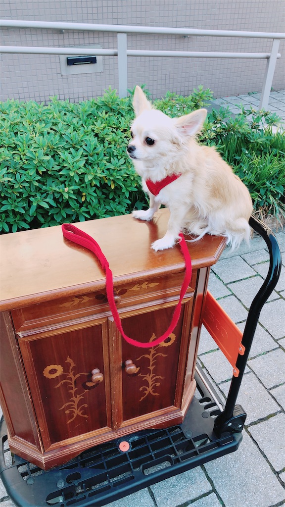 f:id:b-oyaji-yume:20180626175926j:image