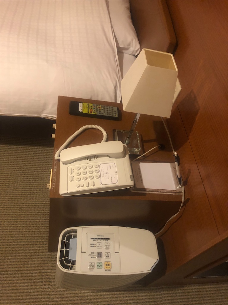 f:id:b-twincle:20190608092104j:image
