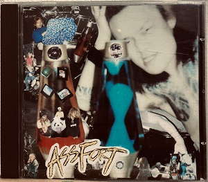 15枚 ジャパニーズ ハードコア パンク レコード LP セット ジャパコア