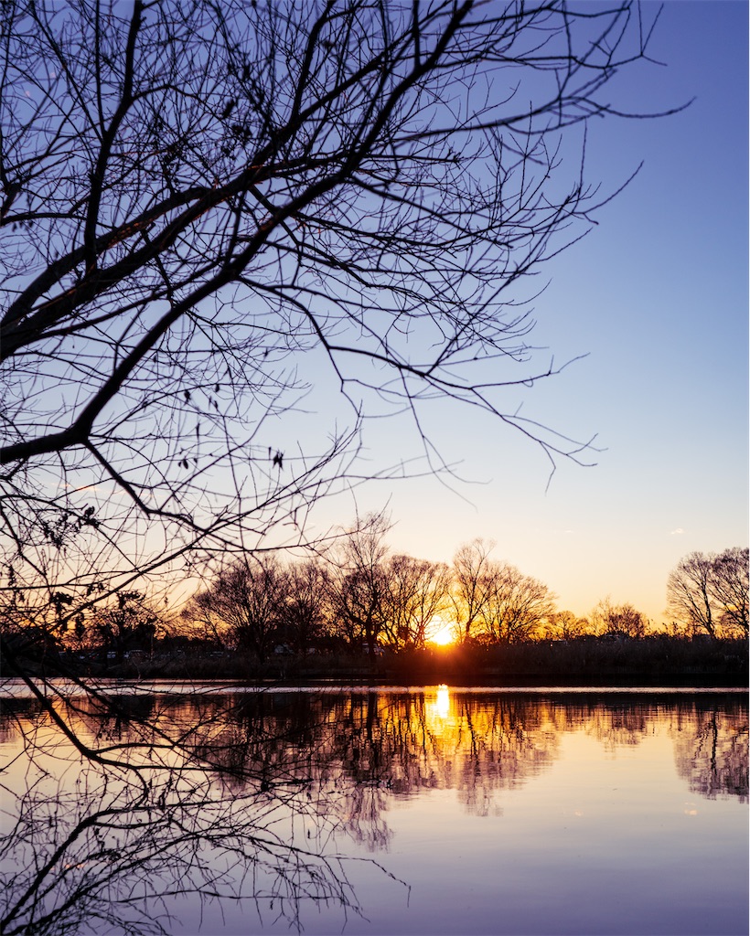 f:id:b-webstore:20230104213620j:image f:id:b-webstore:20230104213620j:image