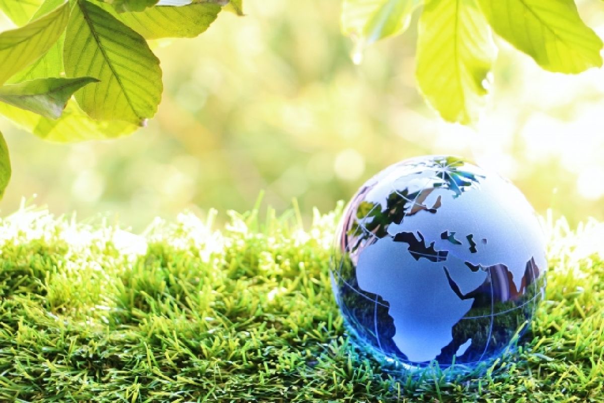 楽天トラベルのツアーでポイントを爆発的に稼ぐ方法 - ポイント・マイルの稼ぎ方！稼げる副業や節約方法を公開！