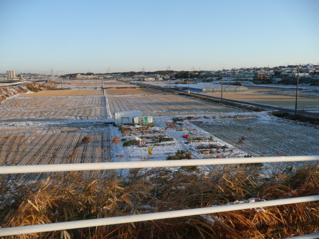 f:id:b0916903:20110216065816j:image:w360