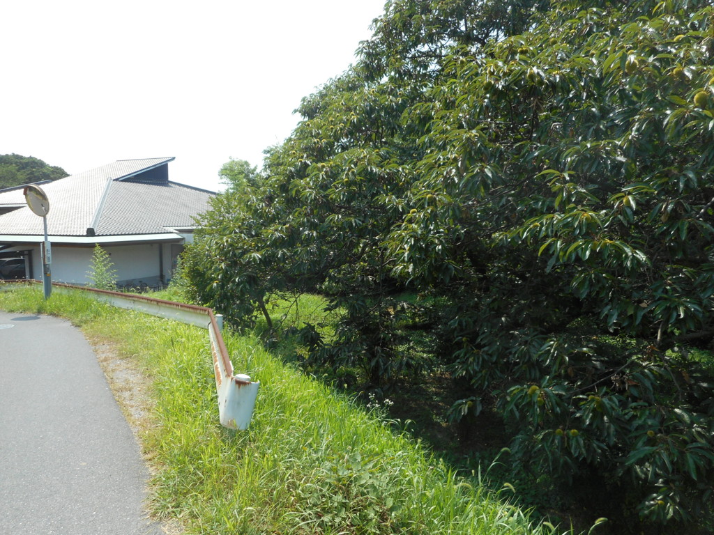 f:id:b0916903:20150815192051j:plain:w360