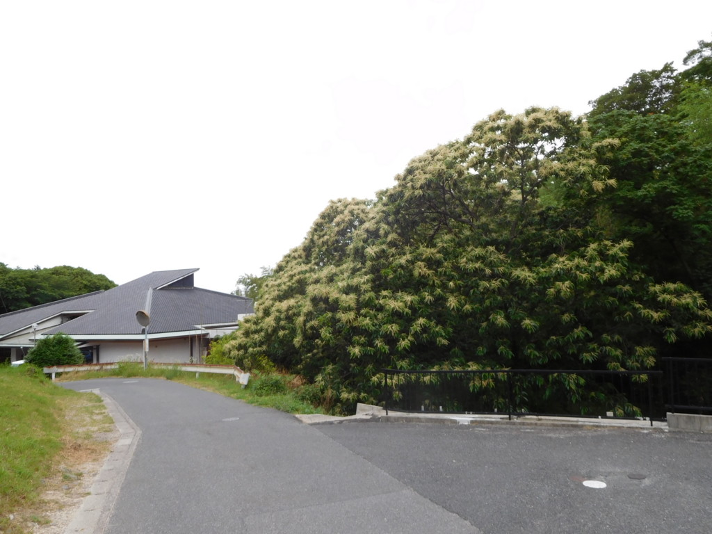 f:id:b0916903:20160630173241j:plain:w360