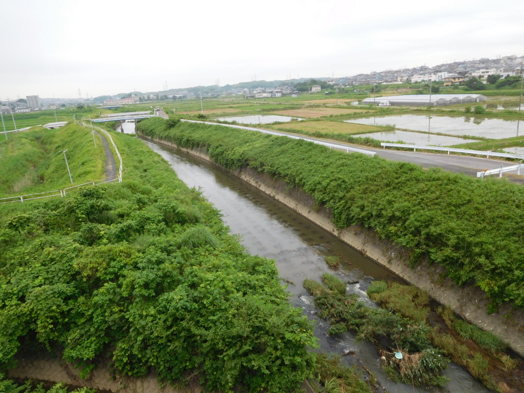 f:id:b0916903:20160630181845j:plain:w360:right