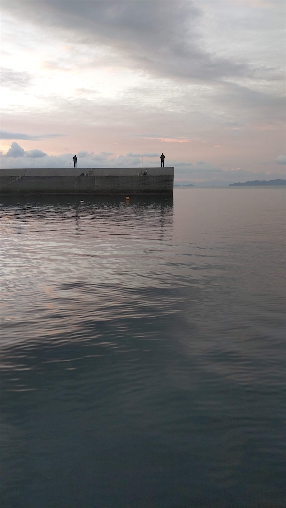 f:id:b116131:20201205220235j:image