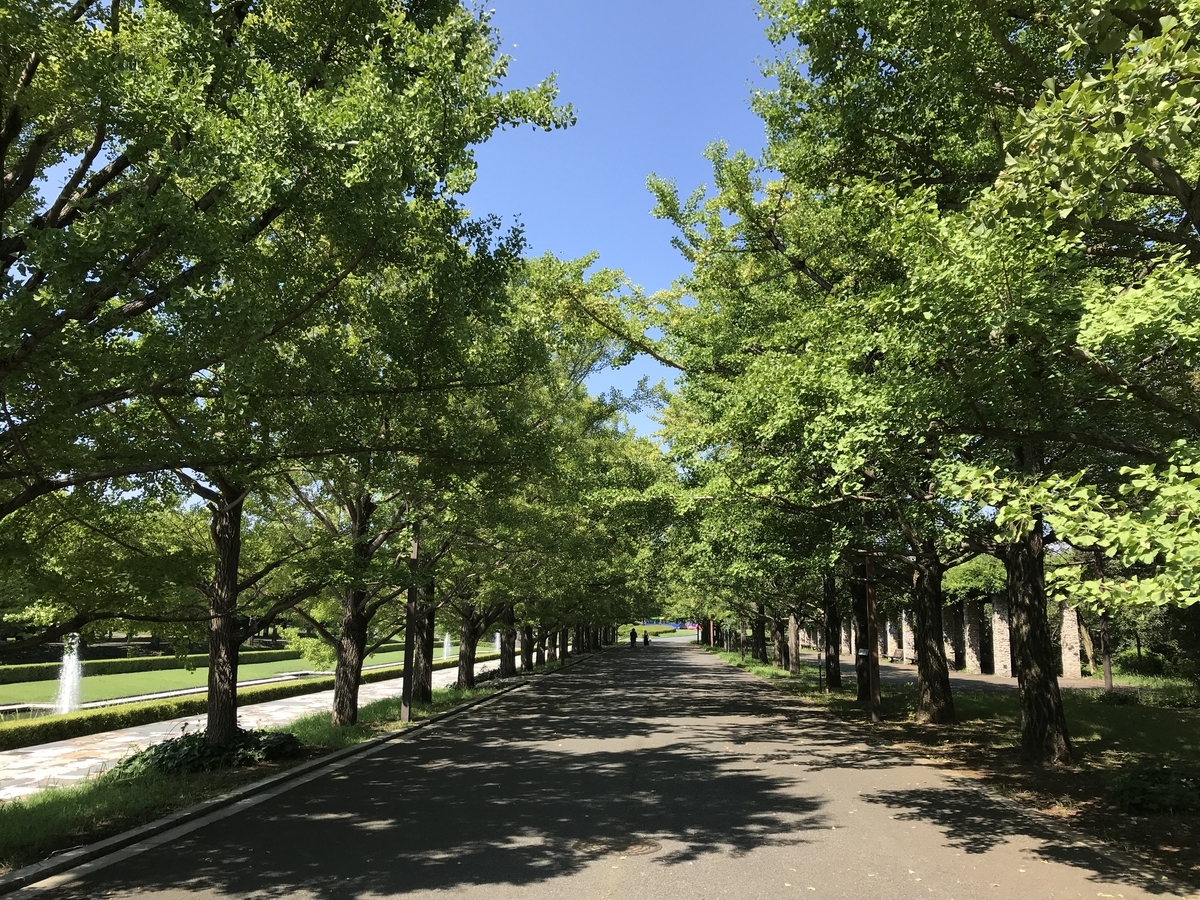 f:id:b1303465planet:20190826195543j:plain