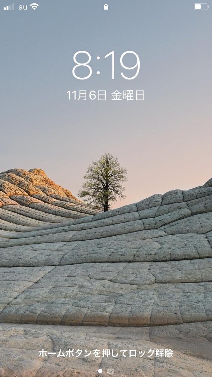 f:id:b46krow:20201106142622j:plain f:id:b46krow:20201106142622j:plain