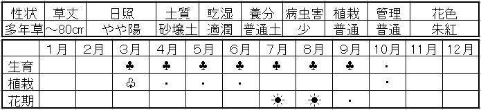 イメージ 19