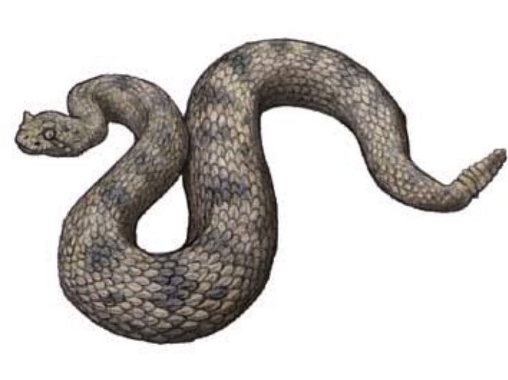 f:id:b_bf_wu3:20160919235825j:image f:id:b_bf_wu3:20160919235825j:image