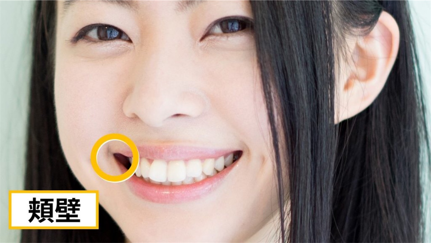 f:id:b_e_b_e:20191211212826j:image f:id:b_e_b_e:20191211212826j:image