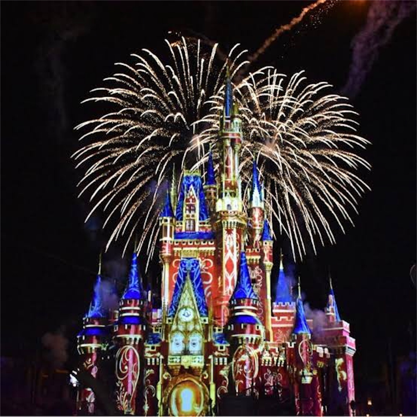 f:id:b_e_b_e:20200207234801j:image f:id:b_e_b_e:20200207234801j:image