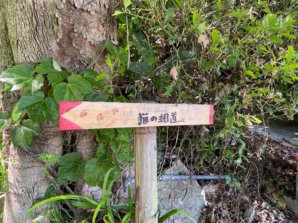 f:id:b_hamucha:20210508191201j:image f:id:b_hamucha:20210508191201j:image