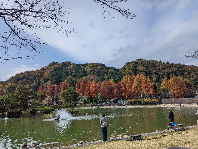 f:id:b_hamucha:20211122205441j:image