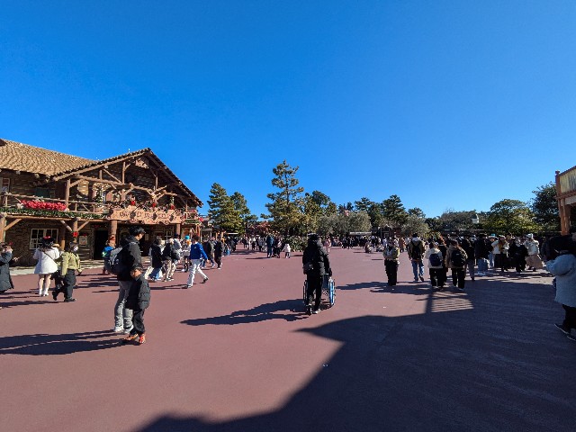 f:id:b_hamucha:20250119222834j:image