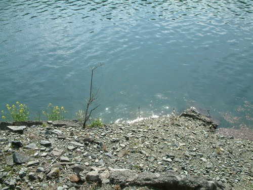 f:id:b_t_b:20090301142158j:image f:id:b_t_b:20090301142158j:image