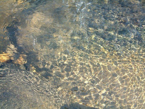 f:id:b_t_b:20090301154823j:image f:id:b_t_b:20090301154823j:image