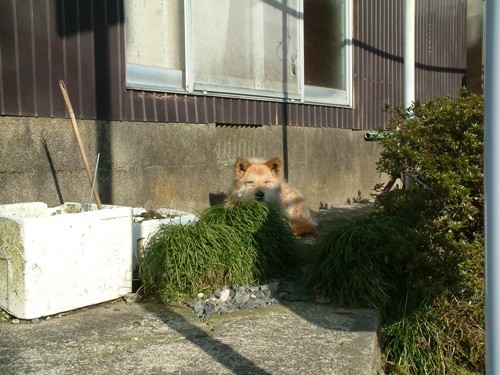 f:id:b_t_b:20090301162025j:image f:id:b_t_b:20090301162025j:image