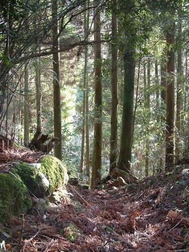 f:id:b_t_b:20090301163911j:image f:id:b_t_b:20090301163911j:image