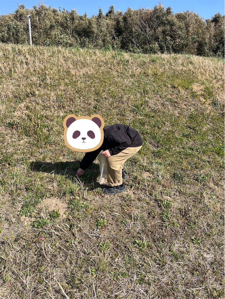f:id:ba-bahaha:20250324150935j:image