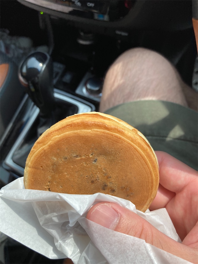 f:id:ba-yan_papa:20220815065451j:image