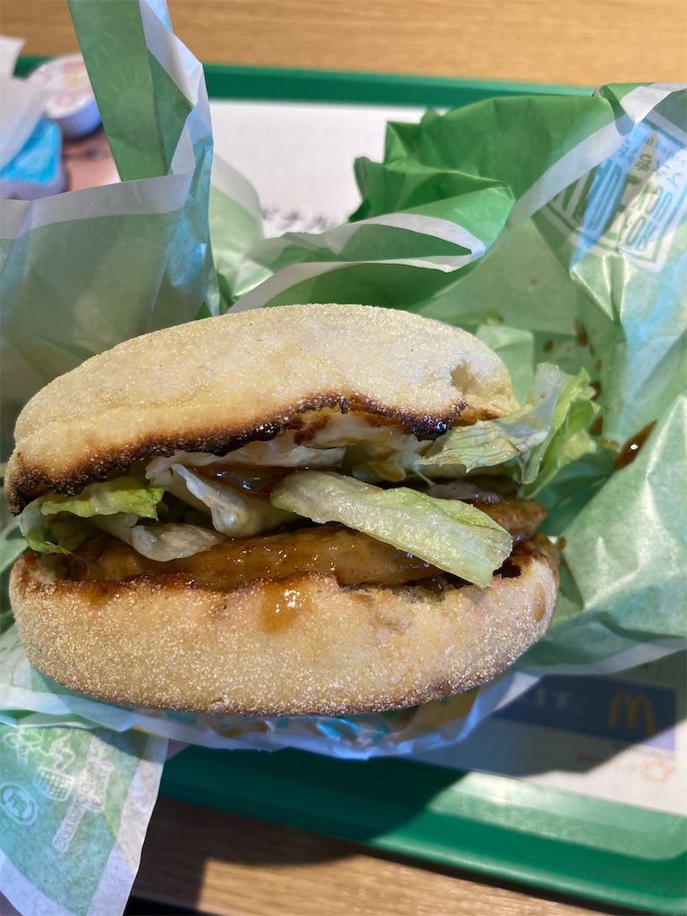 f:id:ba-yan_papa:20240619172753j:image