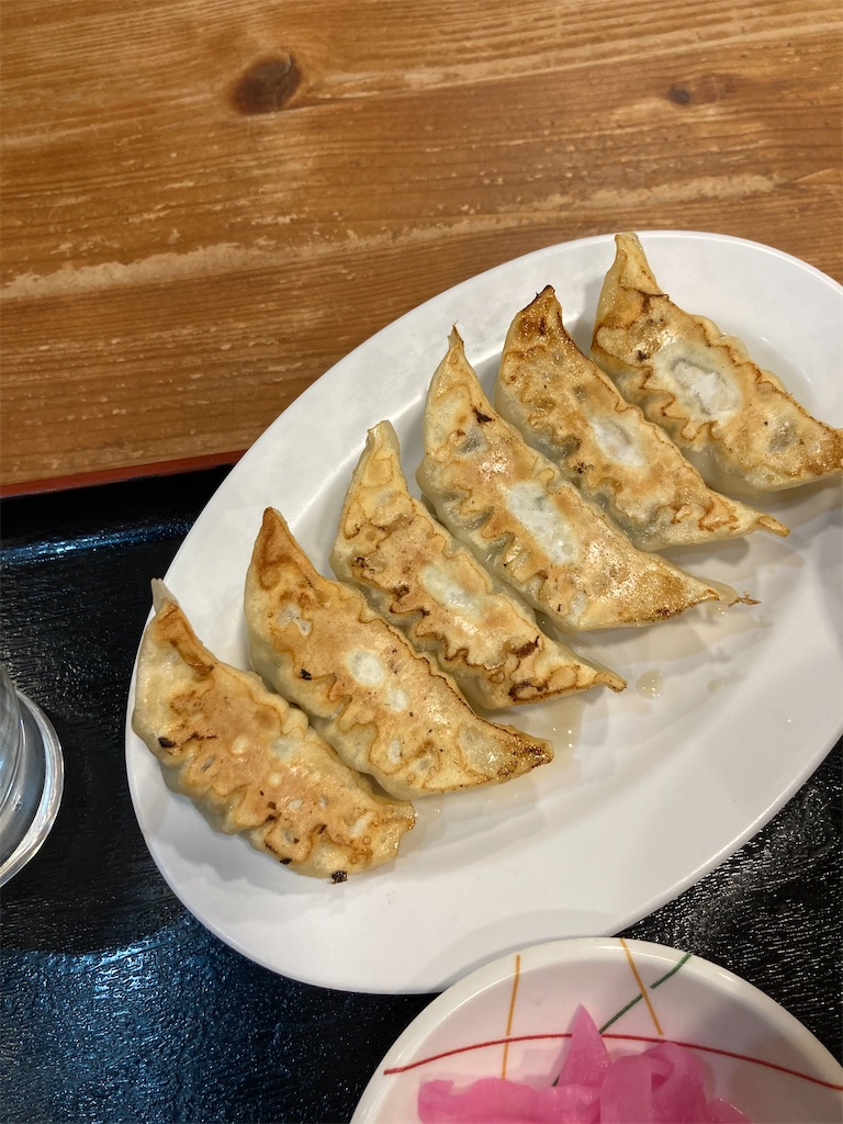 宇都宮餃子館の健太餃子。餃子の焼き目がこんがりときつね色になっており、美味しそうな見た目
