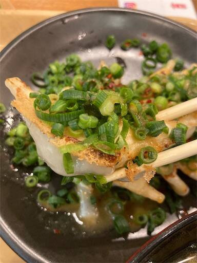 f:id:ba-yan_papa:20250323060417j:image