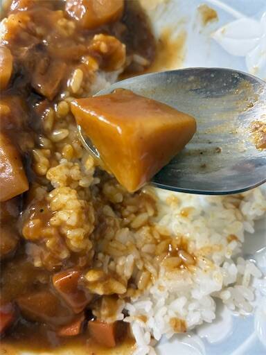 具材が大きい。「ボンカレーネオ 濃厚デミスパイシー辛口」