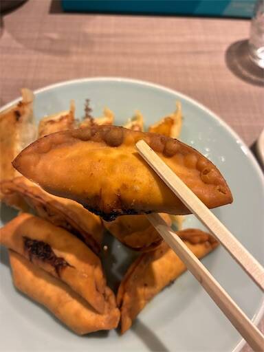 f:id:ba-yan_papa:20251021142641j:image