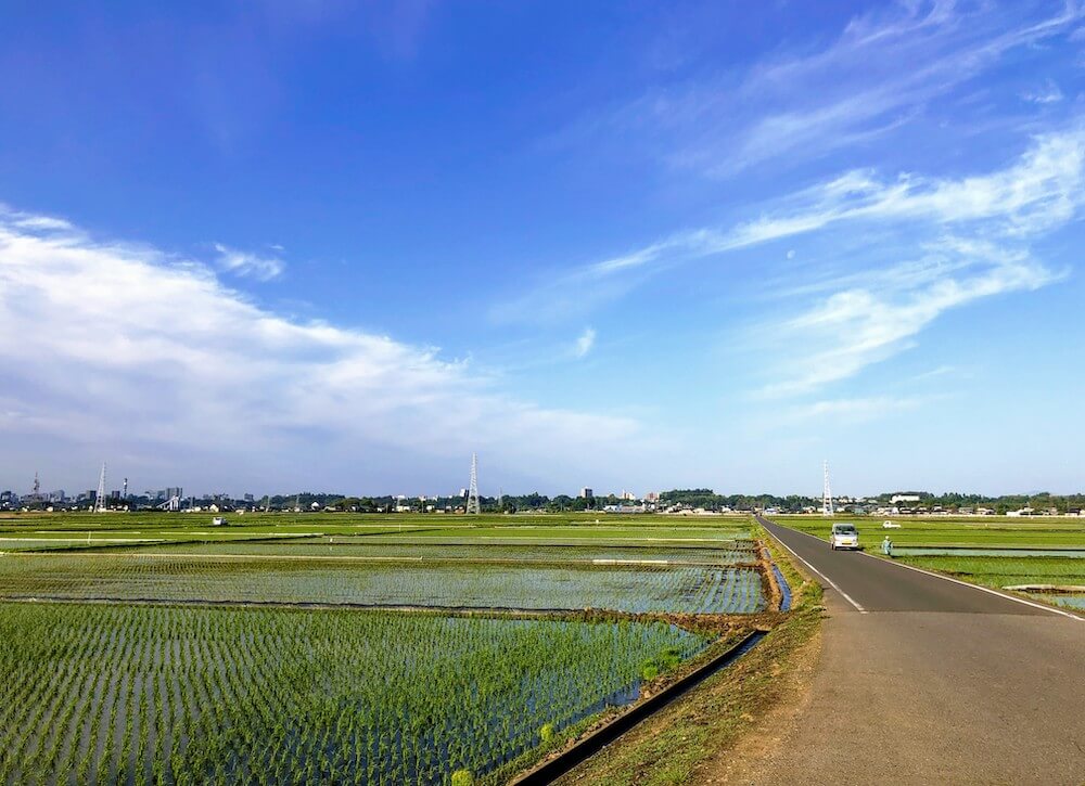 f:id:ba068082:20190523062444j:plain