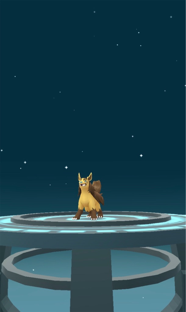 色違いグラエナget 毎日ポケモンgo