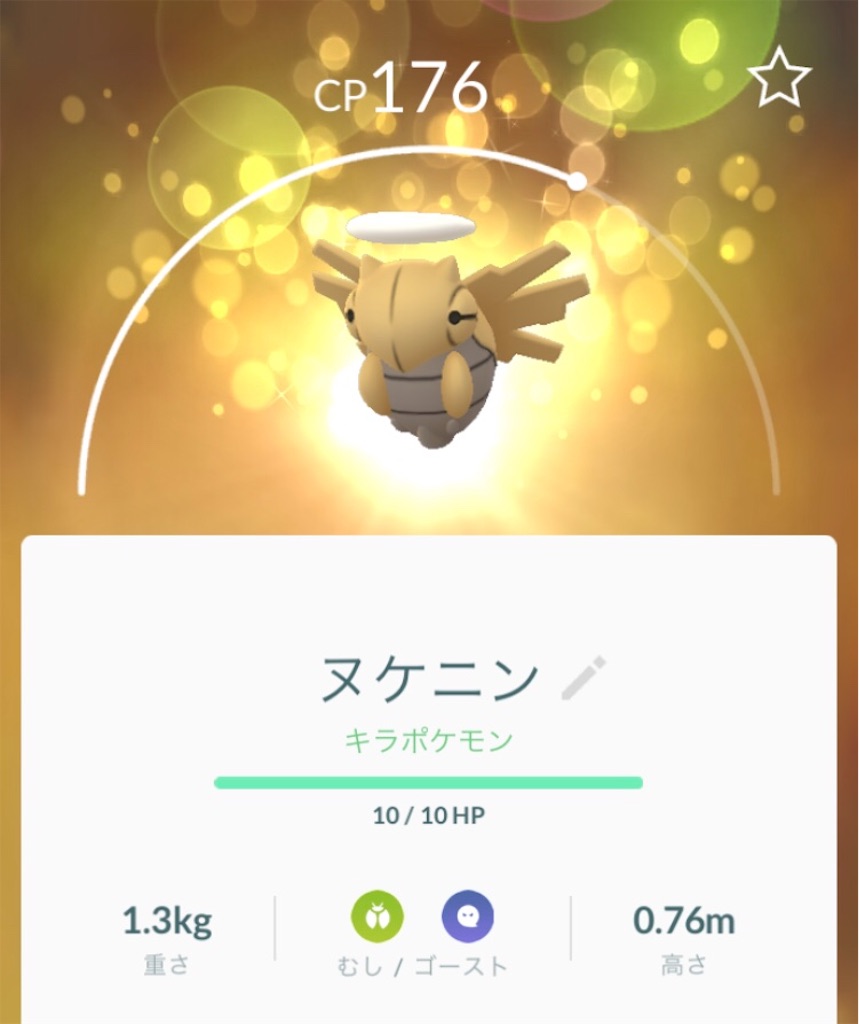 キラポッチャマget 18 11 02 毎日ポケモンgo