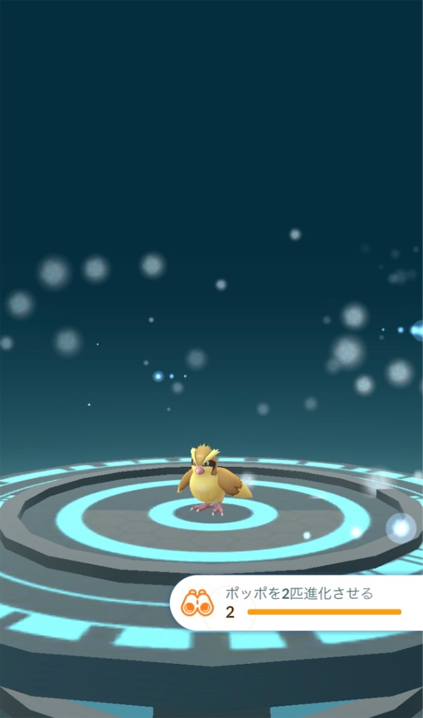 ポッポを２匹進化させる 毎日ポケモンgo