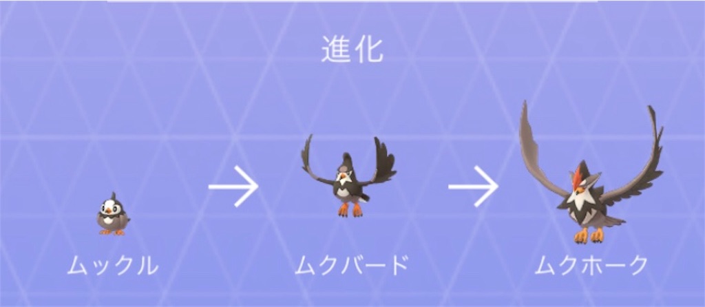 ムクホークget 毎日ポケモンgo