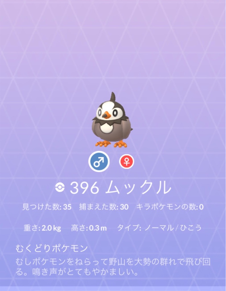 ムクホークget 毎日ポケモンgo