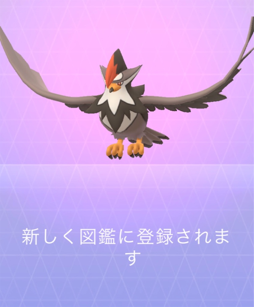 ムクホークget 毎日ポケモンgo