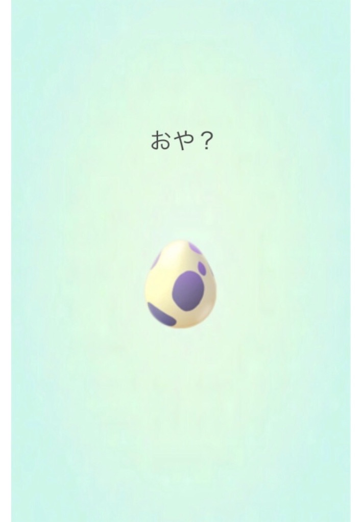 最近のたまご孵化状況 19 2 11 毎日ポケモンgo