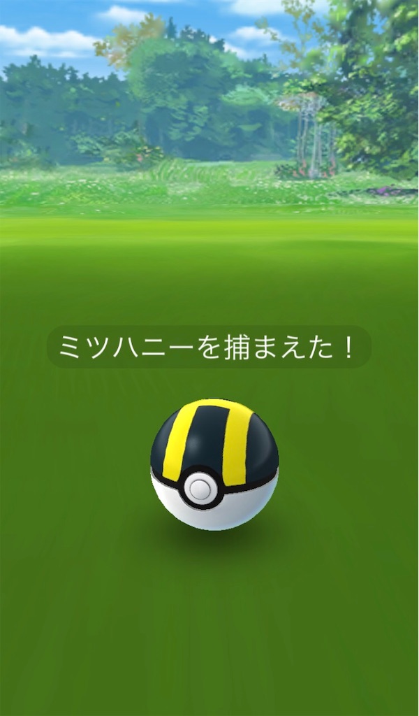 ミツハニーget 毎日ポケモンgo