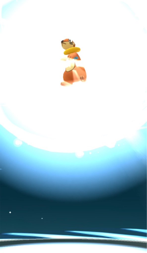 ブイゼルをフローゼルに進化させました 毎日ポケモンgo