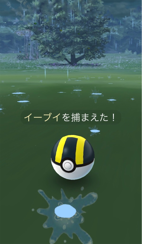 f:id:ba0900674:20190706095311j:image f:id:ba0900674:20190706095311j:image