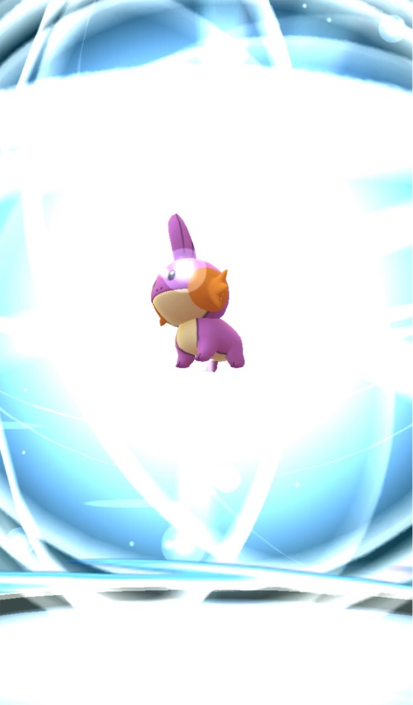 色違いミズゴロウを進化させました 毎日ポケモンgo