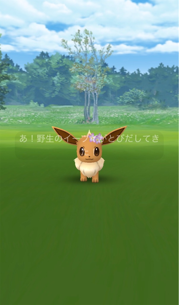 花飾りイーブイを進化させました ２ 毎日ポケモンgo