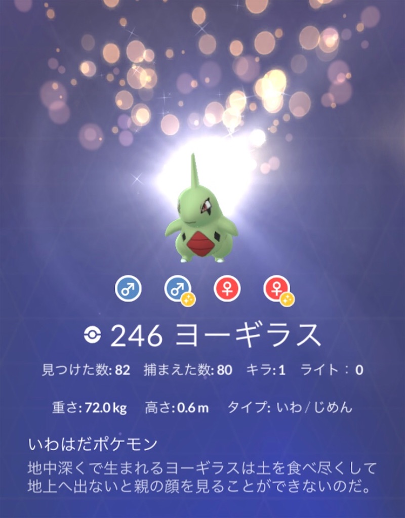 キラ バンギラスゲット 毎日ポケモンgo キラ バンギラスゲット 毎日ポケモンgo