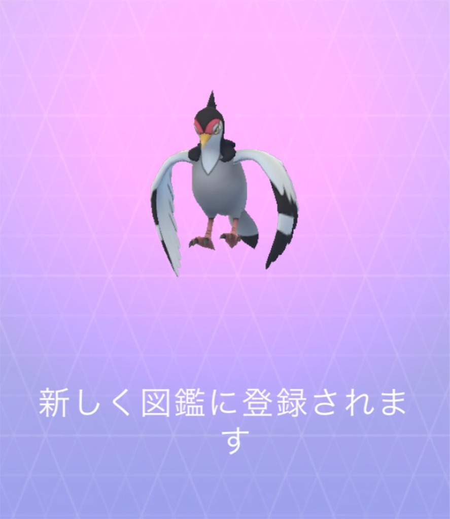 ハトーボーを進化させました 毎日ポケモンgo