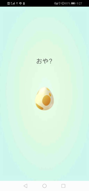 19年最後のたまご孵化状況 19 12 31 毎日ポケモンgo