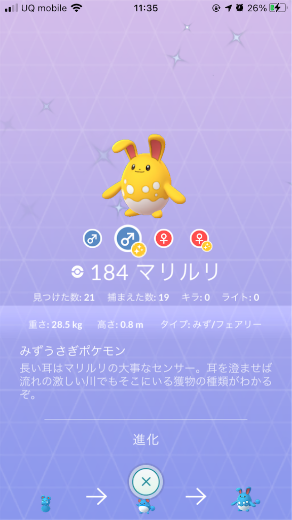 色違いマリルを進化させました 毎日ポケモンgo